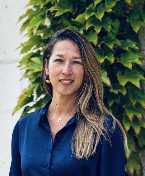 Klimb Up Hotels - Accueil